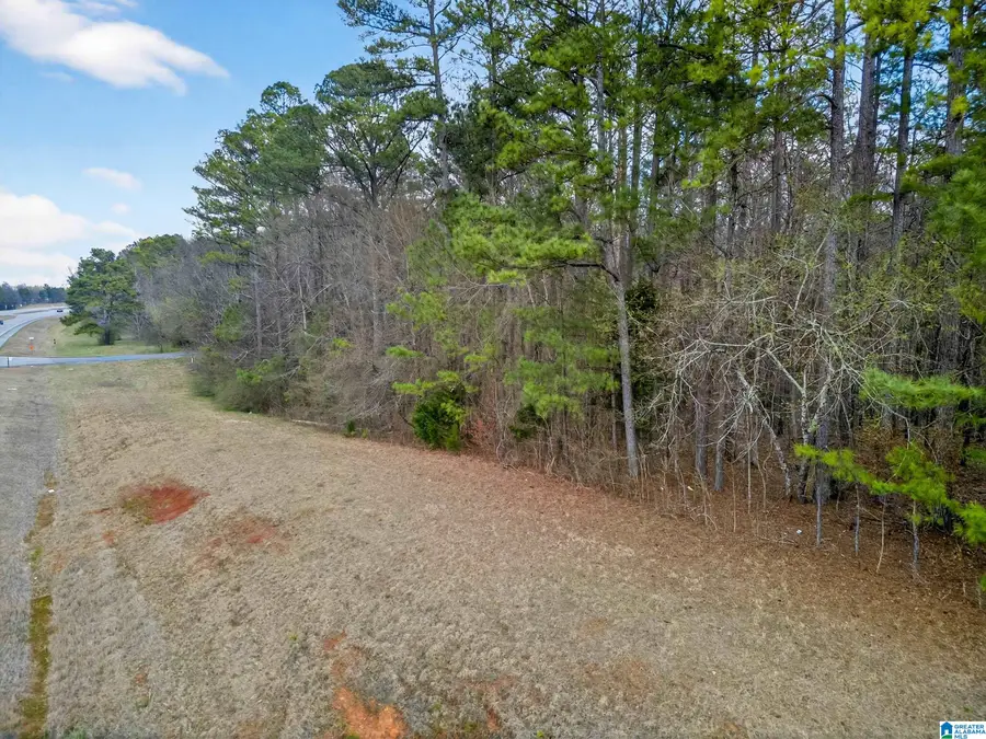 0 ALABAMA HIGHWAY 21, Jacksonville, AL 36265 - #2