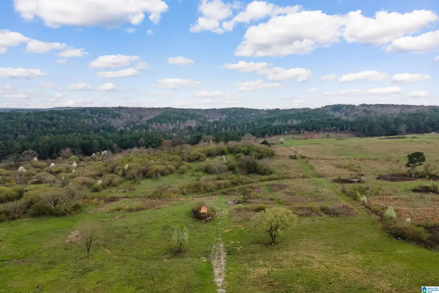 700 SARDIS ROAD, Gardendale, AL 35071 - #2