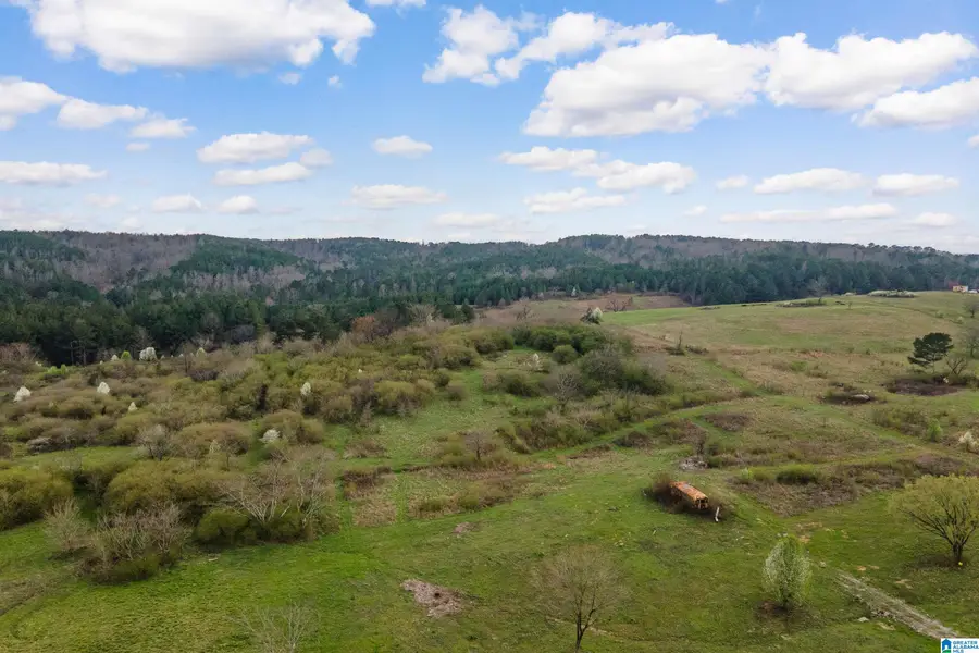 700 SARDIS ROAD, Gardendale, AL 35071 - #3