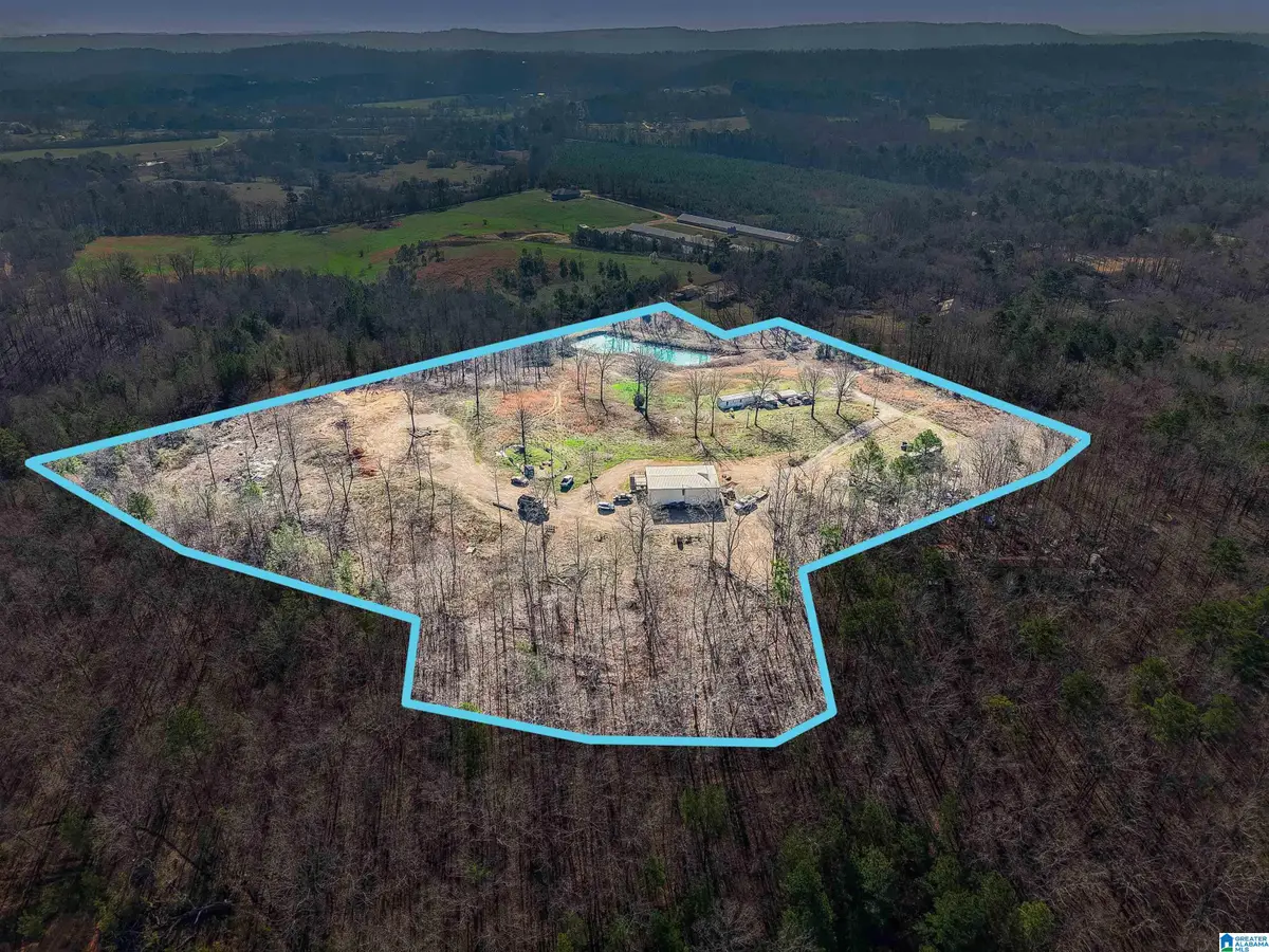 243 RED OAK LANE, Springville, AL 35146 - #1