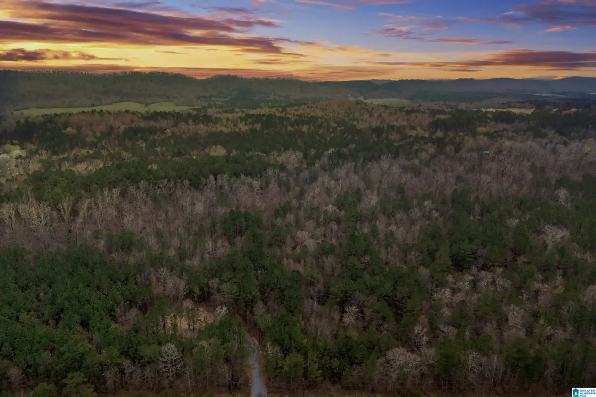 7 FISHER PHILLIPS ROAD, Ashville, AL 35953 - #1