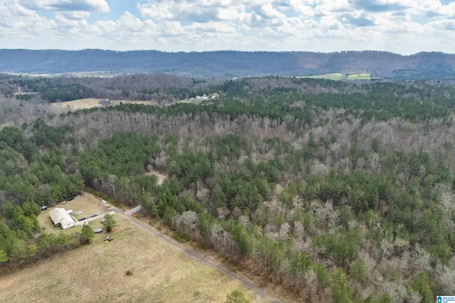 7 FISHER PHILLIPS ROAD, Ashville, AL 35953 - #2