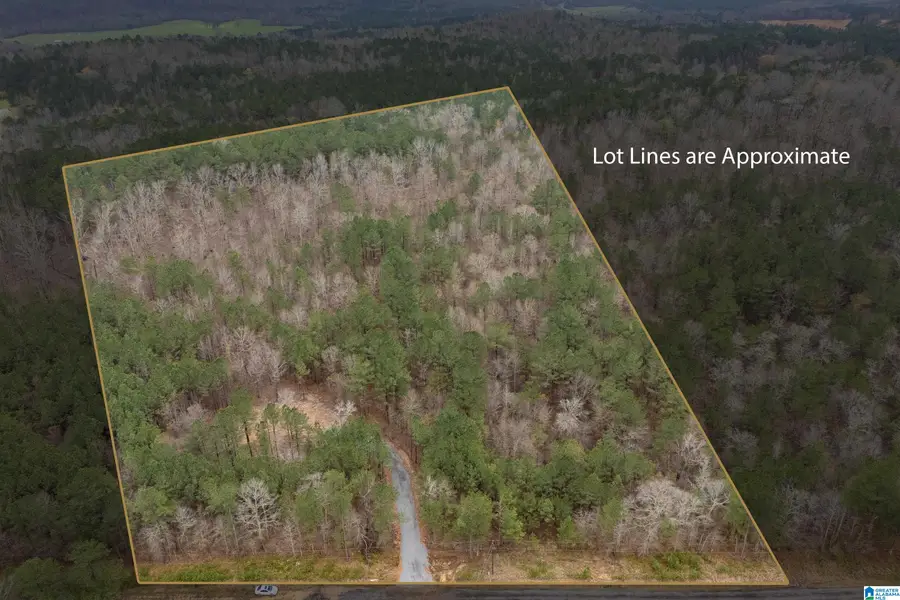 7 FISHER PHILLIPS ROAD, Ashville, AL 35953 - #3