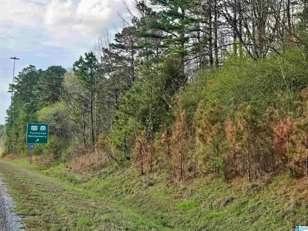 0 HIGHWAY 280 W, Sylacauga, AL 35150