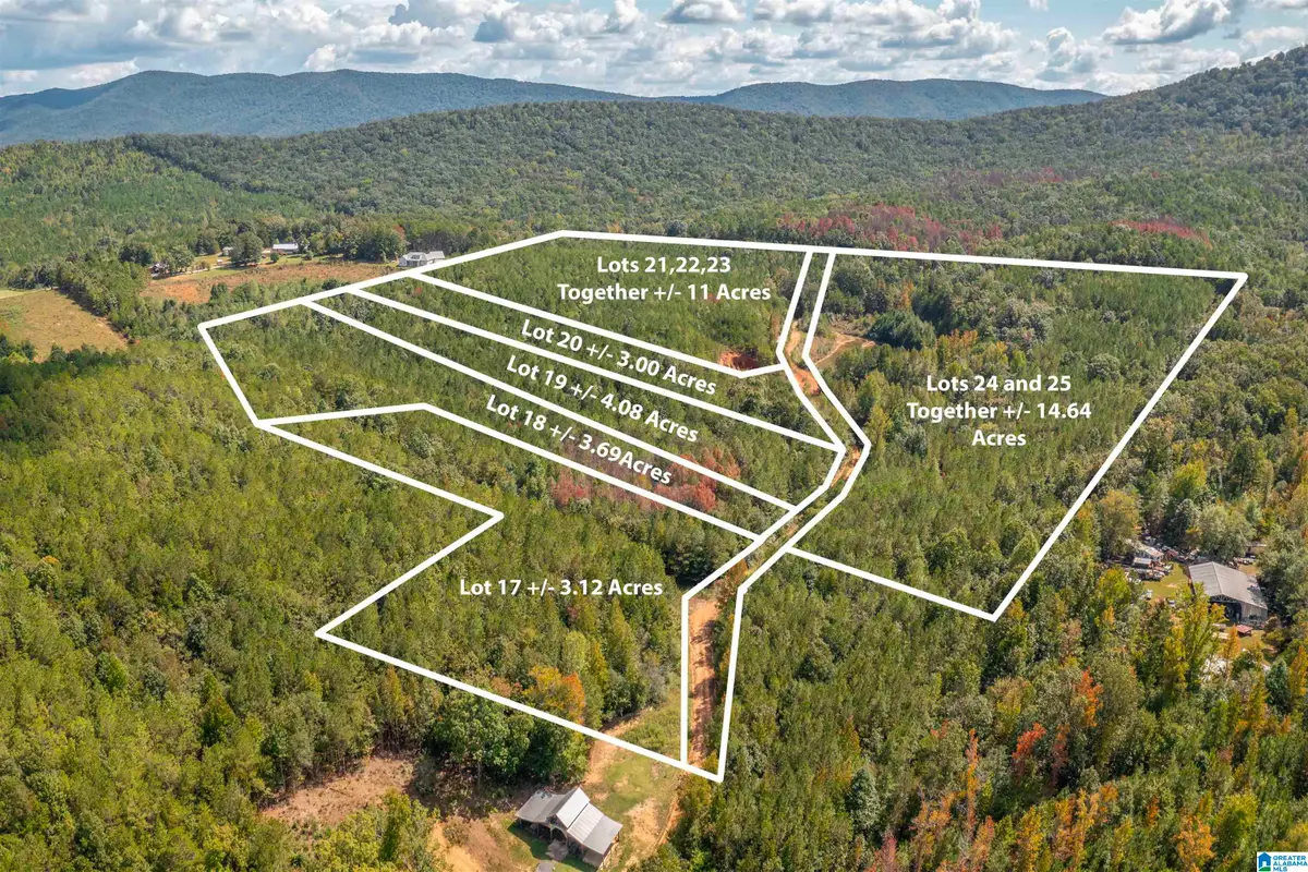 3.69 Acres FOREST EDGE LANE, Piedmont, AL 36272 - #1