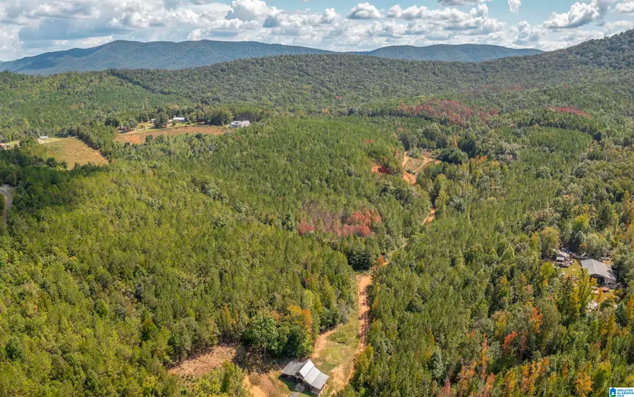 3.69 Acres FOREST EDGE LANE, Piedmont, AL 36272 - #2