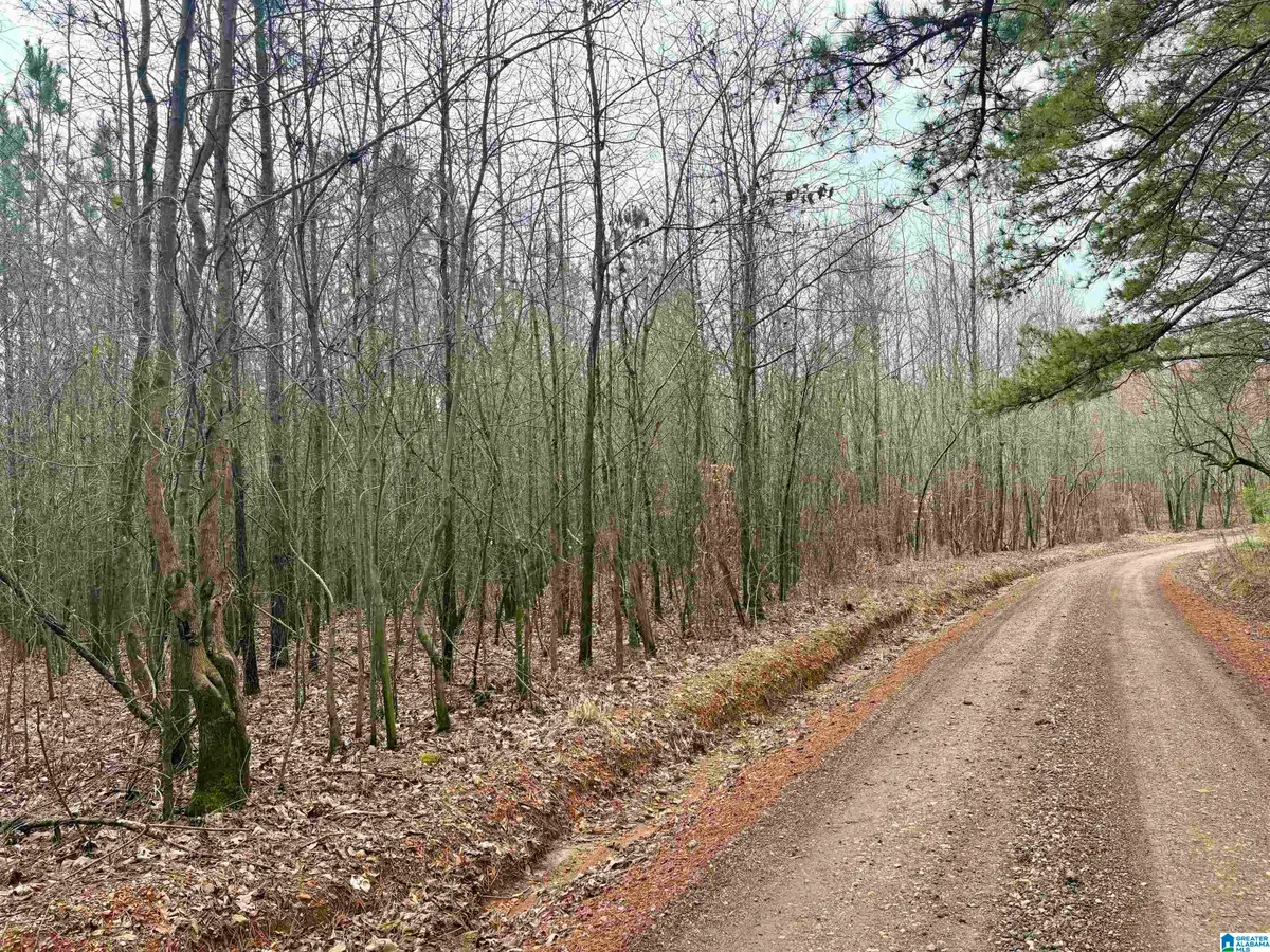 0 COUNTY ROAD 670, Ranburne, AL 36273 - #1