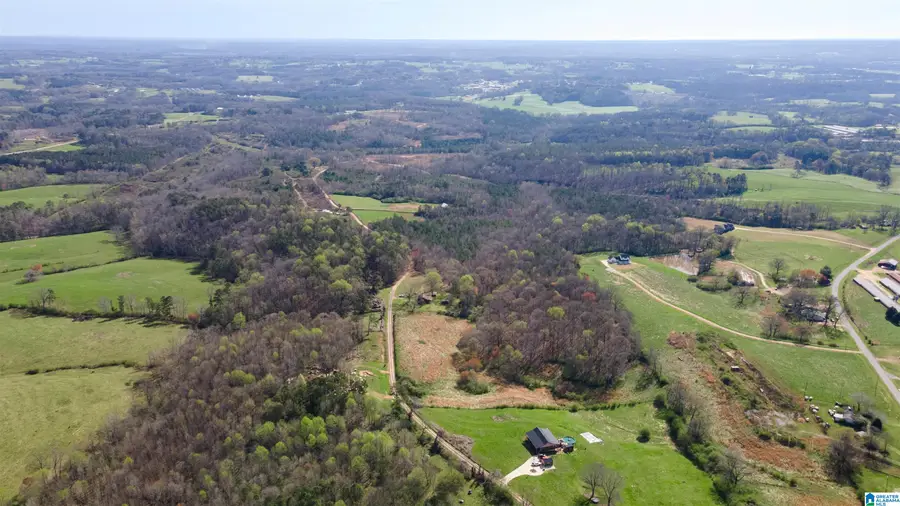 0 COUNTY ROAD 670, Ranburne, AL 36273 - #3