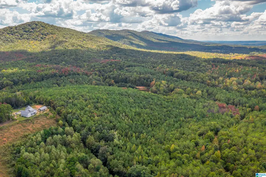 3 Acres FOREST EDGE LANE, Piedmont, AL 36272 - #2