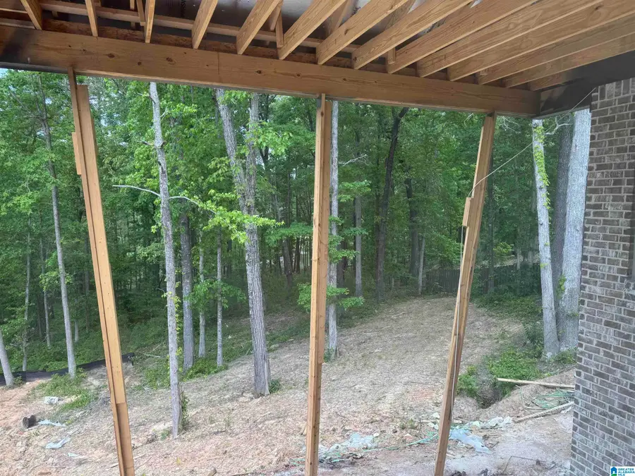 3270 RIVER BIRCH TRAIL, Chelsea, AL 35043 - #3