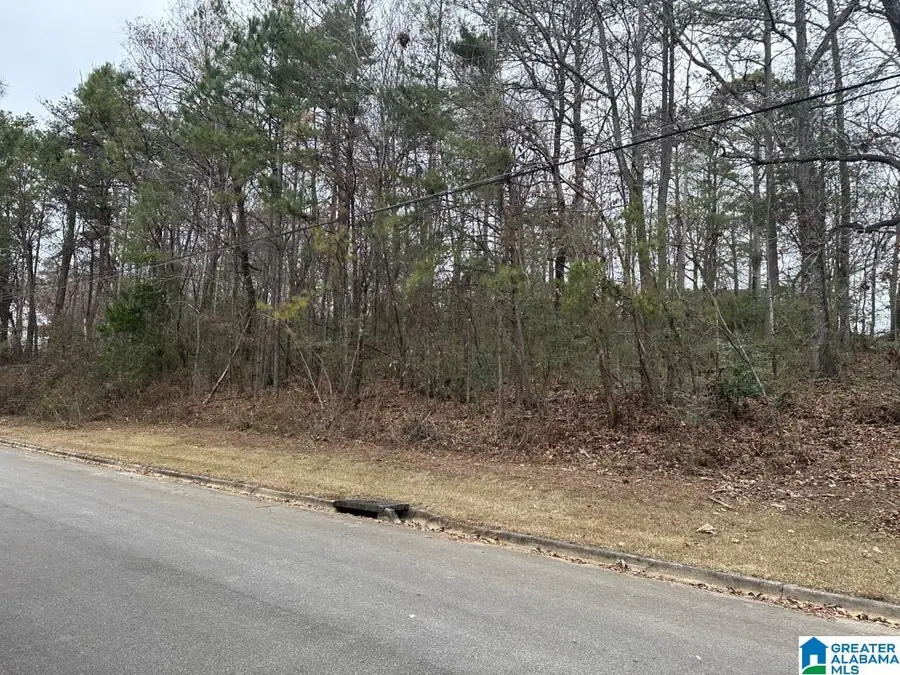 6036 & 6042 AIR PARK TERRACE, Pinson, AL 35215 - #2