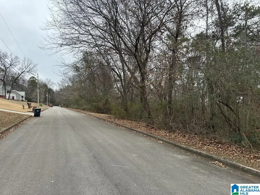 6036 & 6042 AIR PARK TERRACE, Pinson, AL 35215 - #3