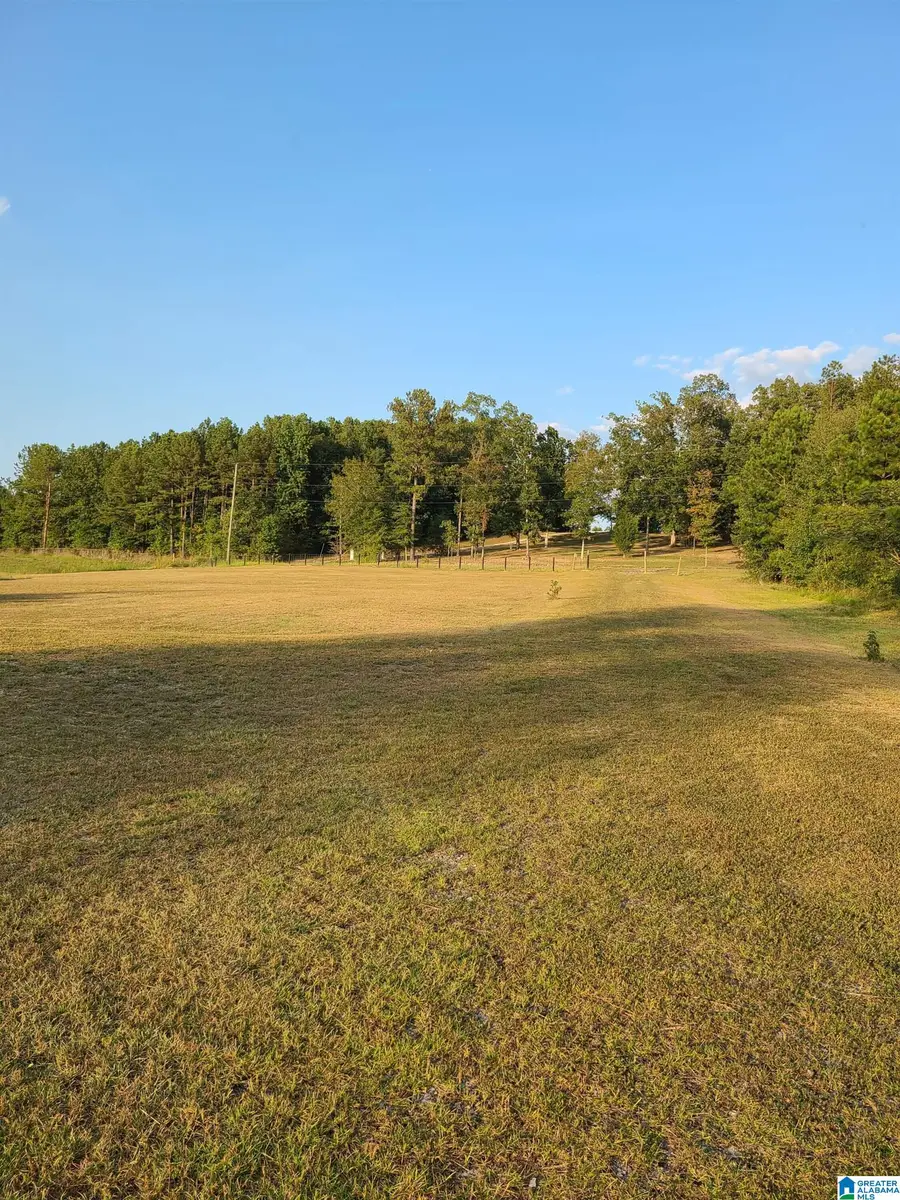 170 JOURNEYS END ROAD, Ashville, AL 35953 - #2