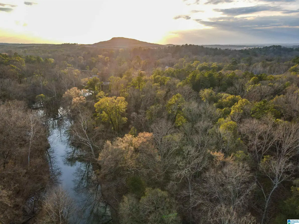 01 MORELAND LANE, Brierfield, AL 35035 - #1