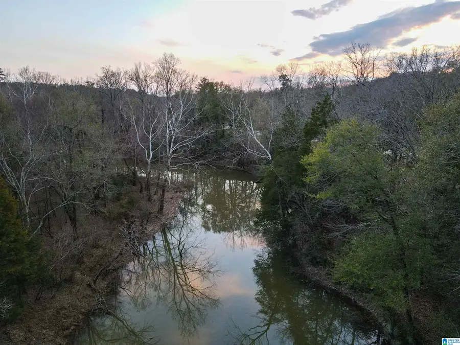 01 MORELAND LANE, Brierfield, AL 35035 - #2