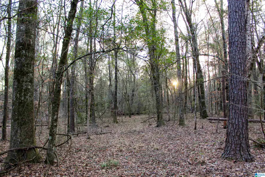 01 MORELAND LANE, Brierfield, AL 35035 - #3