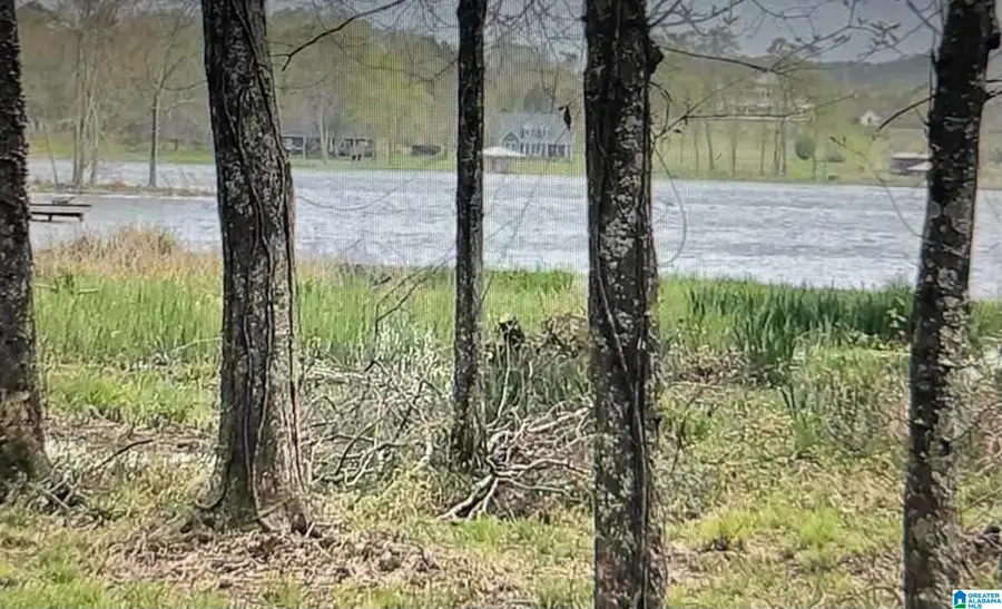 805 GENERAL JACKSON MEMORIAL DRIVE, Sylacauga, AL 35151 - #2