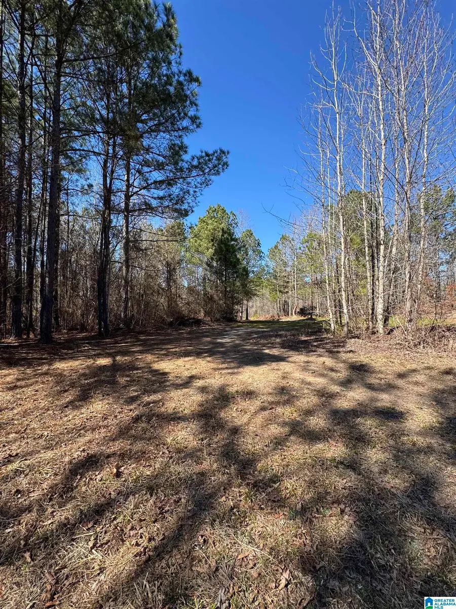 19063 WESTSIDE ROAD, Brookwood, AL 35444 - #3