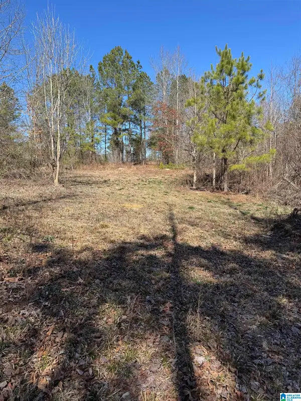 19075 WESTSIDE ROAD, Brookwood, AL 35444