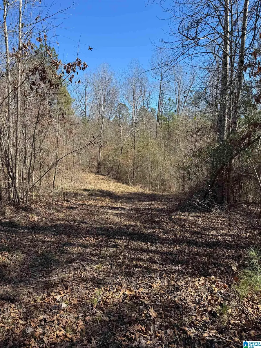 19075 WESTSIDE ROAD, Brookwood, AL 35444 - #2