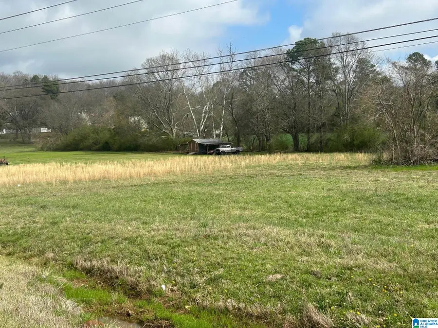 25 PELHAM LANE, Alexandria, AL 36250 - #3