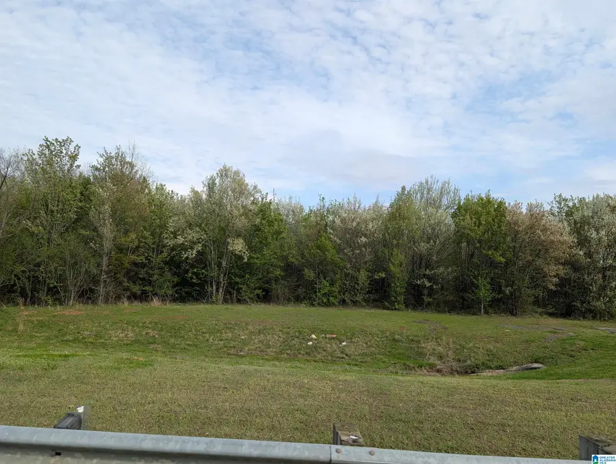 0 (4 acres) HIGHWAY 21, Oxford, AL 36203 - #3