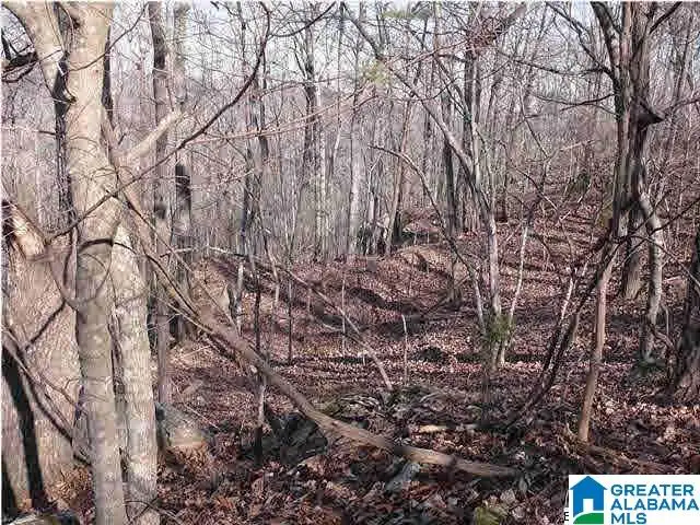 5620 S SHADES CREST ROAD, Helena, AL 35022 - #2