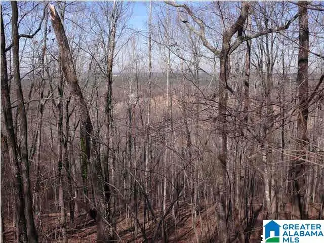 5620 S SHADES CREST ROAD, Helena, AL 35022 - #3