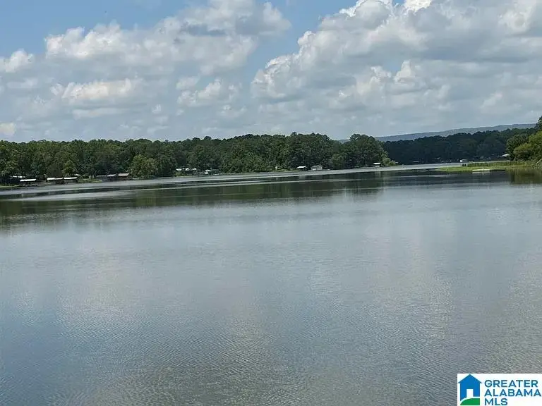 4396 SHORE DRIVE, Ashville, AL 35953 - #1
