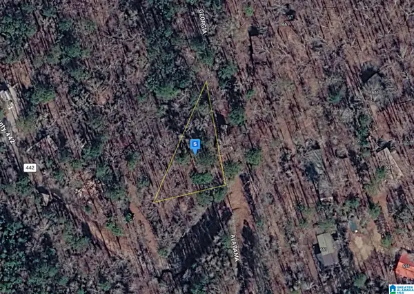 1100 COUNTY ROAD 442, Five points, AL 36855