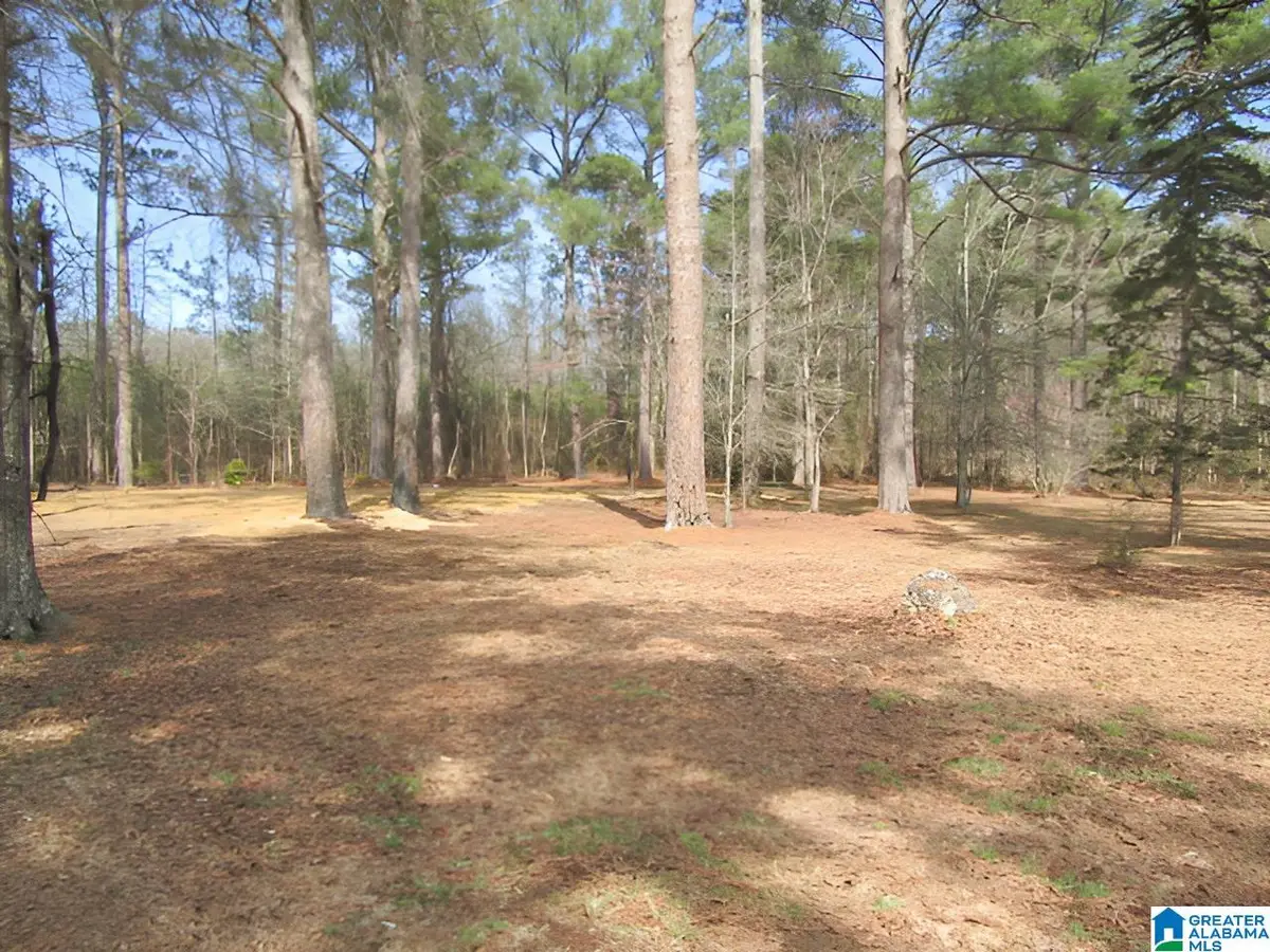 4429 ROY WEBB ROAD, Jacksonville, AL 36265 - #1