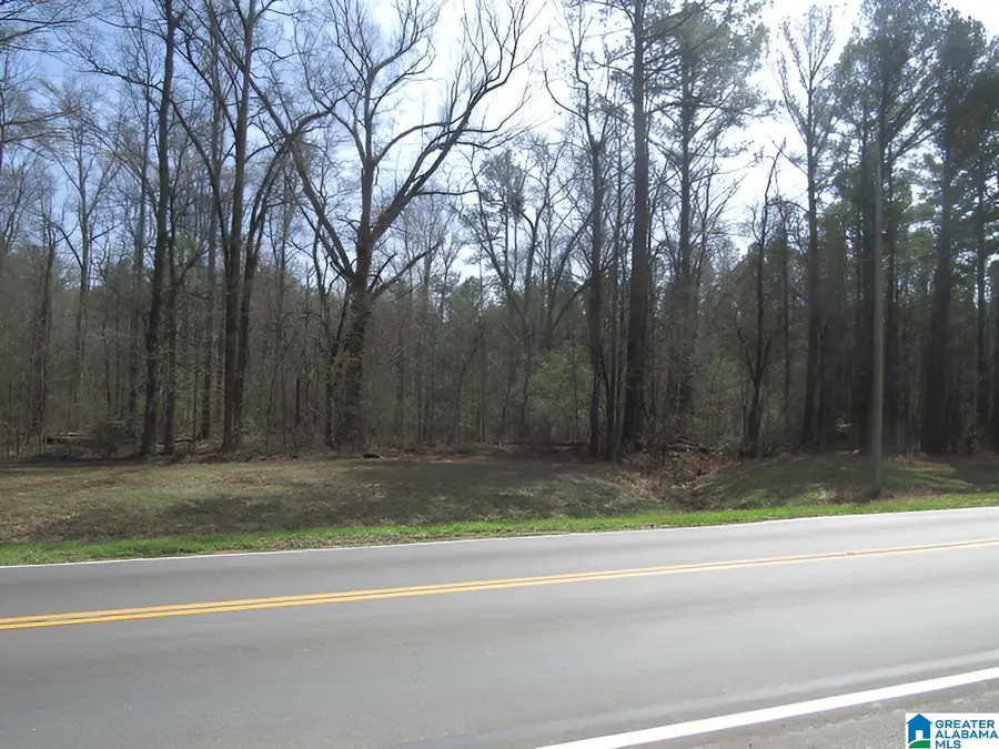 4429 ROY WEBB ROAD, Jacksonville, AL 36265 - #2