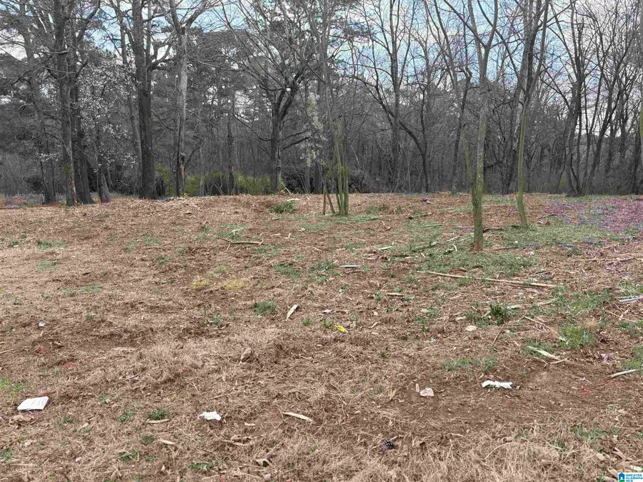 9149 ZION CITY ROAD, Birmingham, AL 35206 - #3