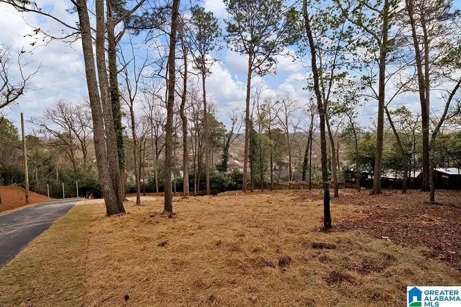 905 FRISCO STREET, Homewood, AL 35209 - #3