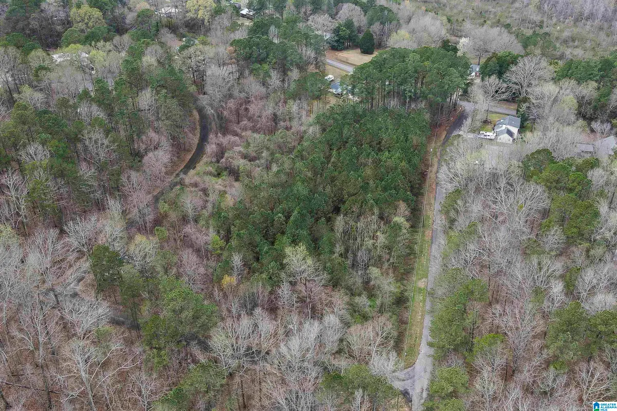 0 WOODLAND COURT, Weaver, AL 36277 - #1