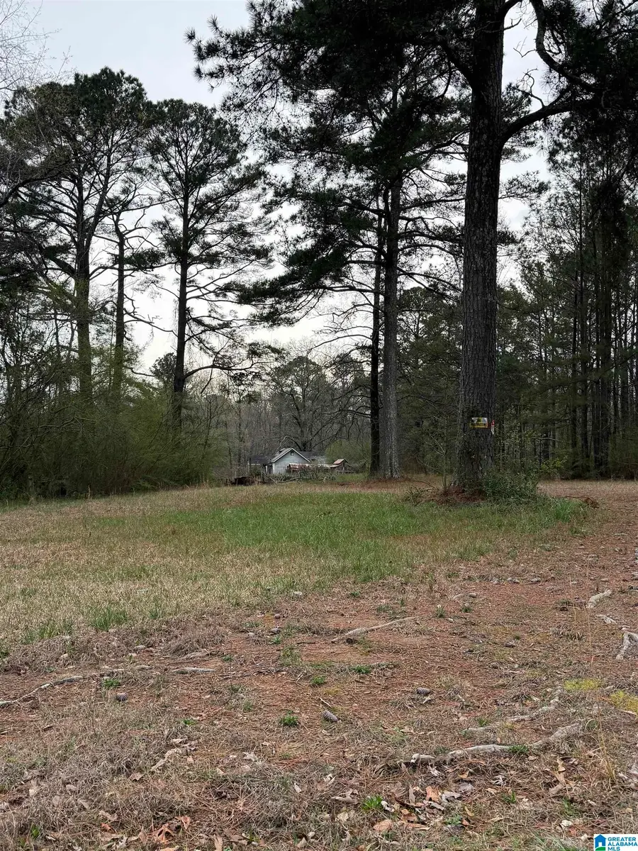 6776 N OLD HIGHWAY 31, Gardendale, AL 35071 - #2