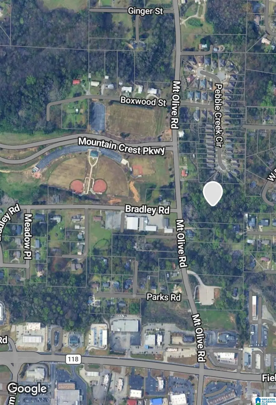 1201 MOUNT OLIVE ROAD, Gardendale, AL 35071 - #2