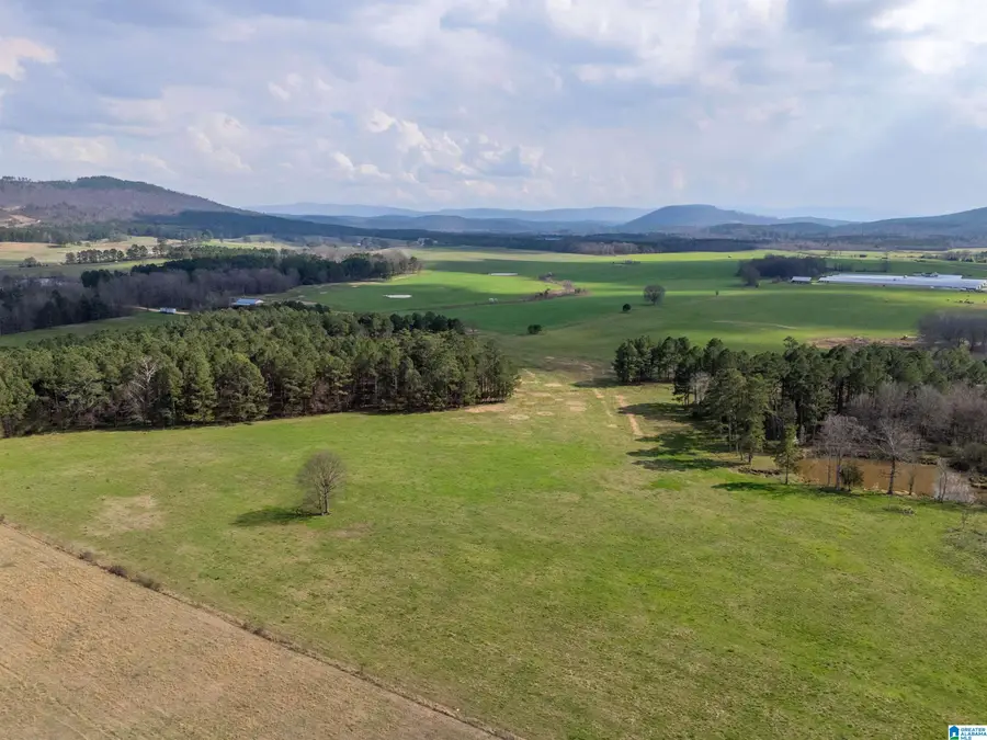 725 COUNTY ROAD 19, Piedmont, AL 36272 - #2