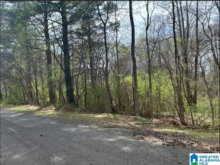 749 7TH STREET SE, Graysville, AL 35073 - #3