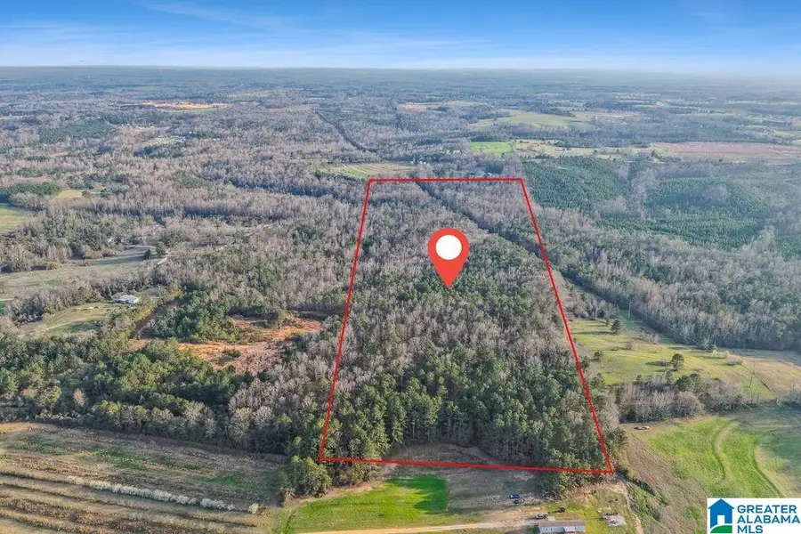 0 COUNTY ROAD 391, Clanton, AL 35045 - #2