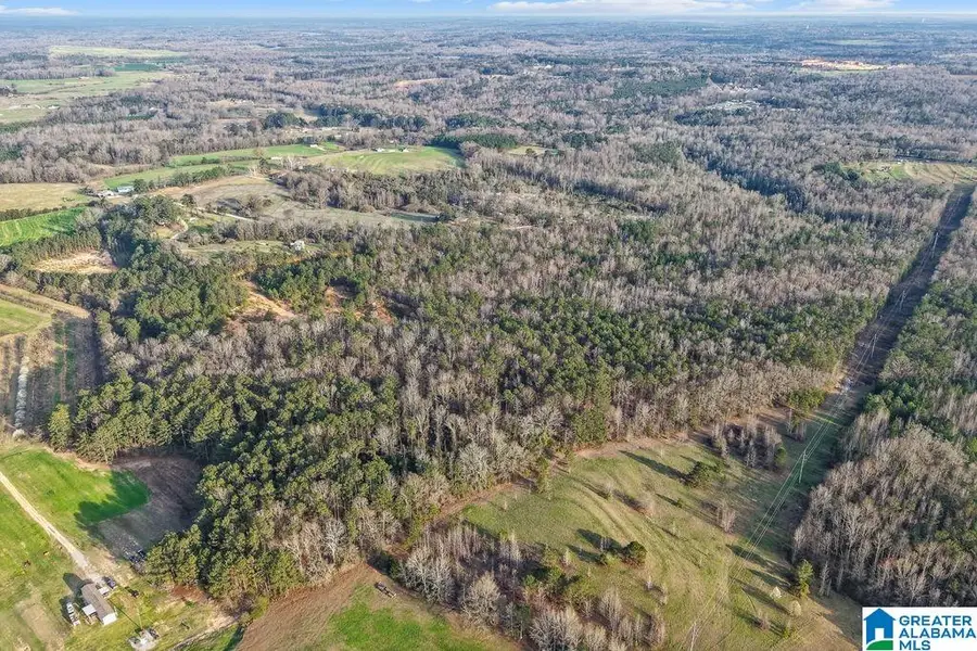 0 COUNTY ROAD 391, Clanton, AL 35045 - #3