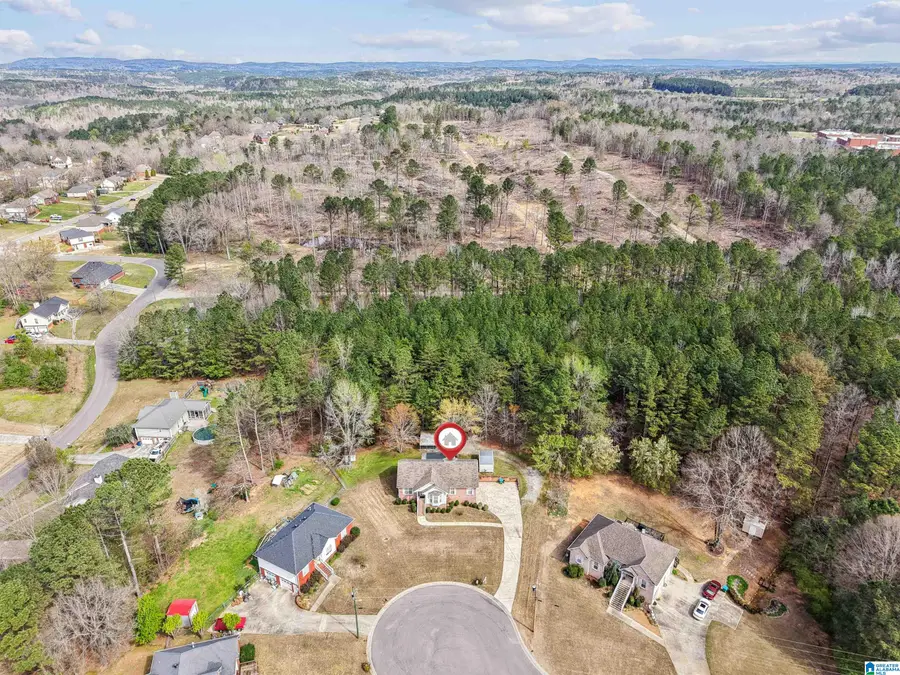 2004 DARWIN CIRCLE, Kimberly, AL 35091 - #3