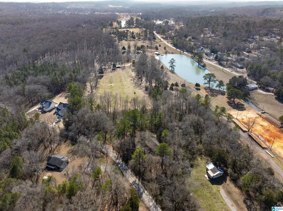 2570 SCURLOCK ROAD, Helena, AL 35080 - #3