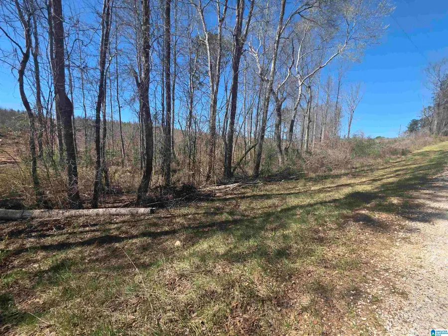 Tract 9 COUNTY ROAD 256, Wedowee, AL 36278 - #3