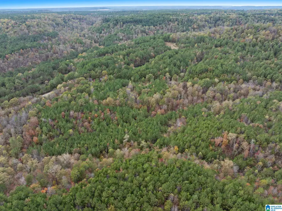 0 COUNTY ROAD 518, Hanceville, AL 35077 - #2