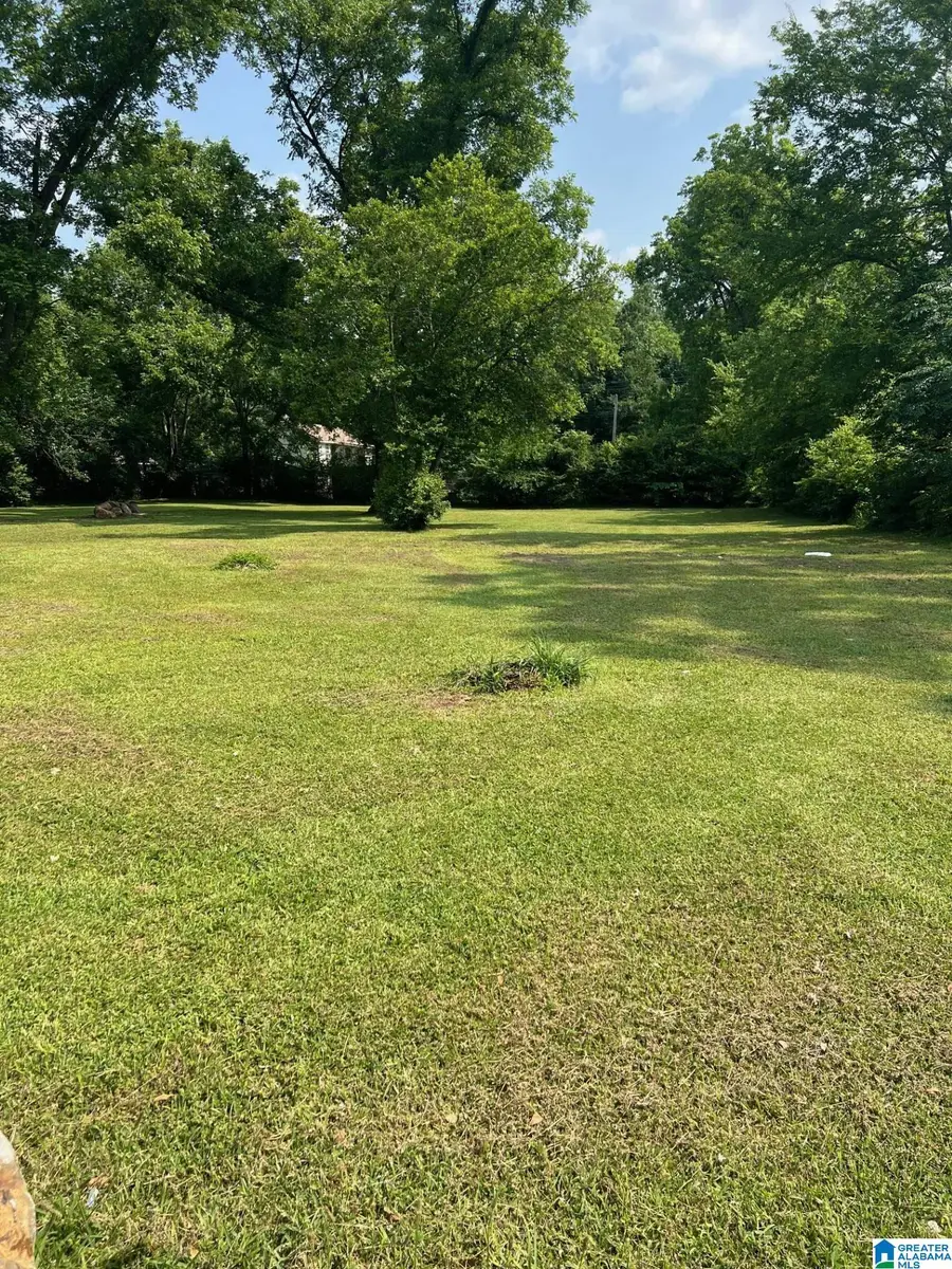 226 CLIFTON STREET, Bessemer, AL 35020 - #3