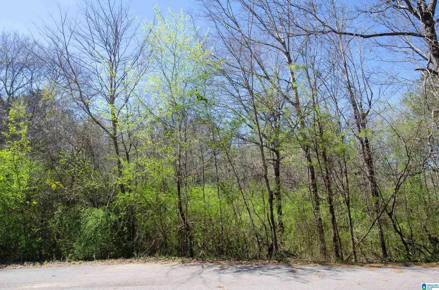 0 HOWARD CIRCLE, Lincoln, AL 35096 - #3