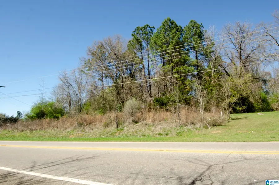 0 HIGHWAY 78, Lincoln, AL 35096 - #2