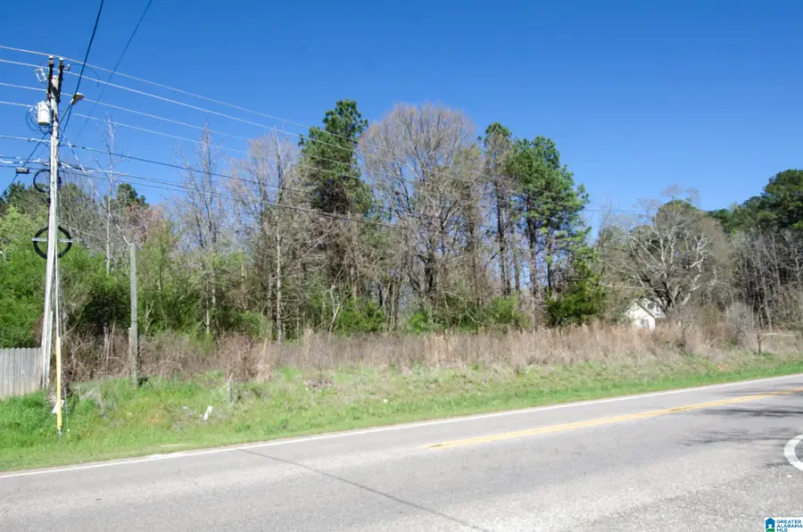 0 HIGHWAY 78, Lincoln, AL 35096 - #3