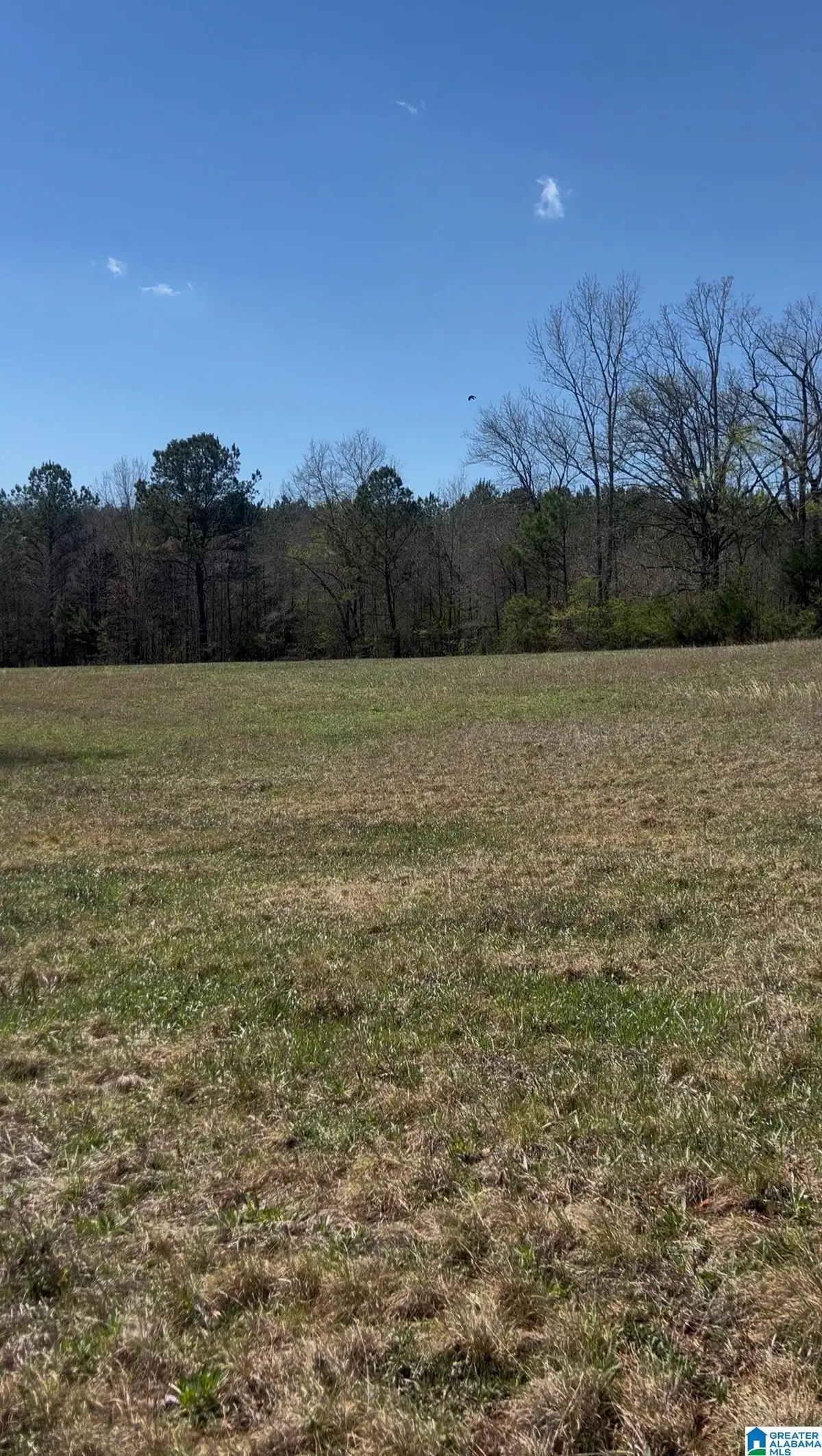2122 COUNTY ROAD 42, Calera, AL 35040 - #1